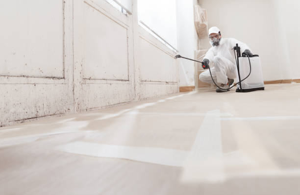24/7 Emergency Mold Remediation experts in Verona, VA
