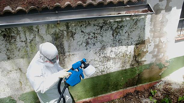 Top rated local Mold Remediation specialists in Verona, VA